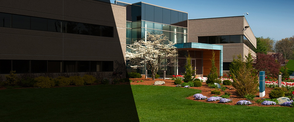 Lees Summit Landscapers
