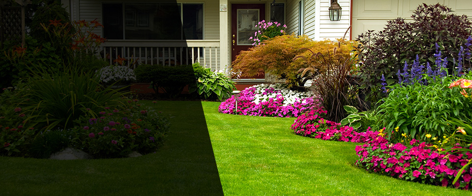 Lees Summit Landscapers
