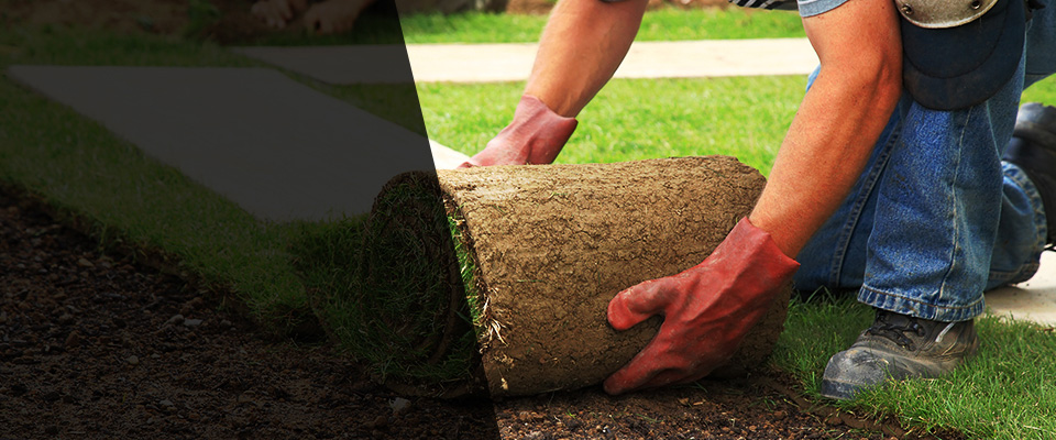 Lees Summit Landscapers